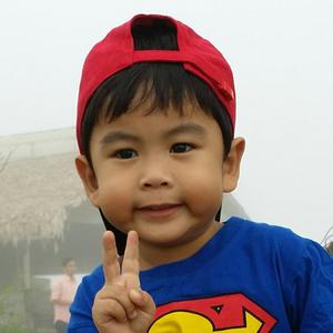 Hachi