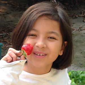 Aliz