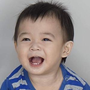 Zhao Yun
