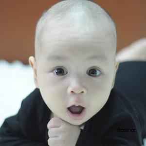 Bashar