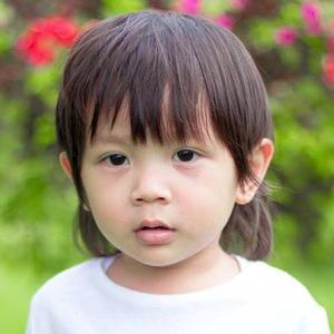 น้องซิปโป้