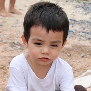 Shino