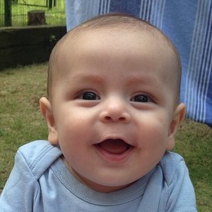Harrison