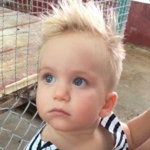 David