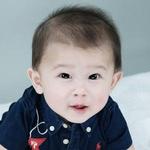 JP459D: น้องฟีนิกซ์