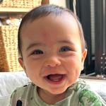 LN992N: น้องอัลบี้