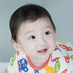 HW338W: น้องดัลตัน