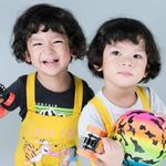 VQ478N: Vincent & Ernest