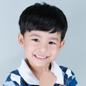 XZ929L: Logis